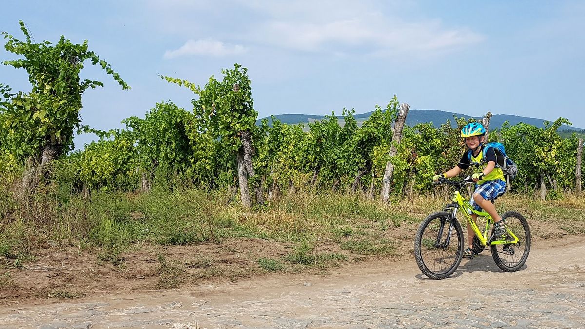 Maďarsko na kole pro aktivní rodinky